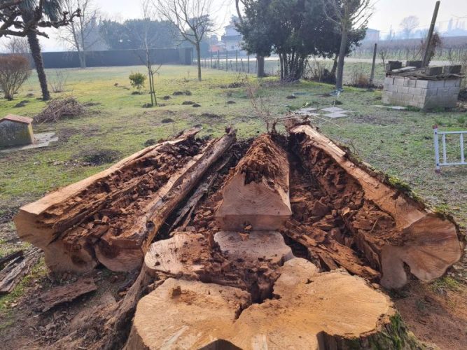 SANTINATO GIARDINI DI SANTINATO MATTIA (5)